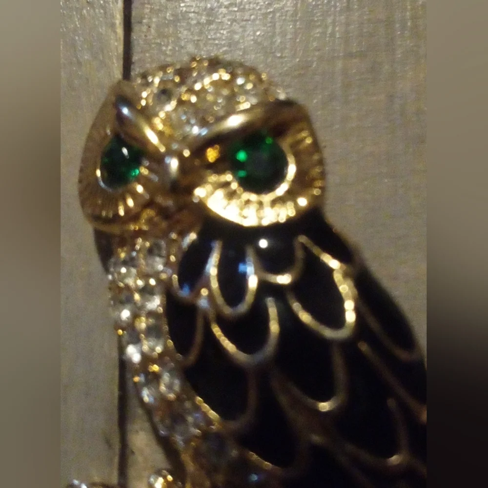 Pretty Rhinestone Enameled Owl Pin Brooch